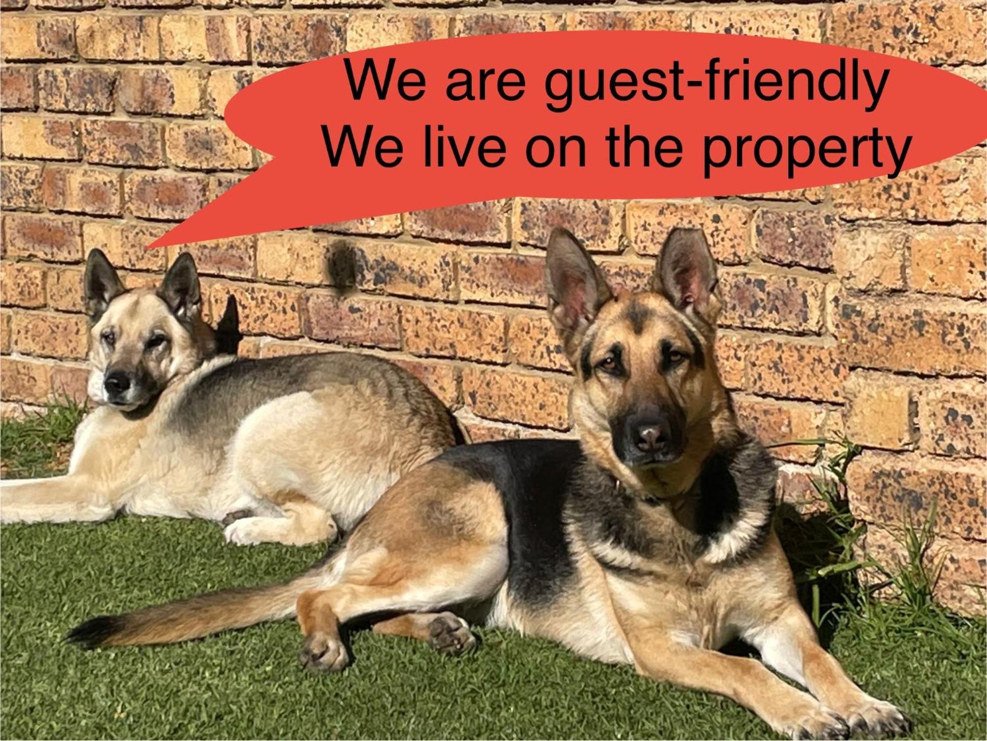 Celtis Lane Guest House Boksburg Exterior foto